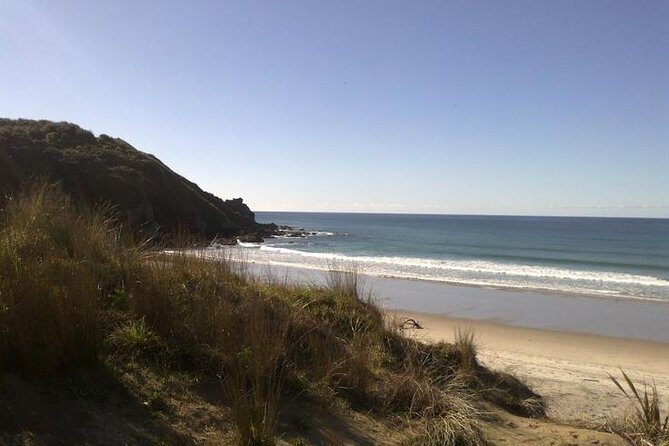 2 Hour Surf Lesson - Te Arai Beach - Why This Experience Offers Great Value