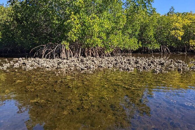 2 Hour Tandem Kayak Tour (Price for 2 People) - Detailed Itinerary Breakdown