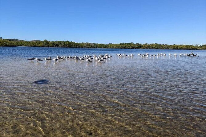 2 Hour Tandem Kayak Tour (Price for 2 People) - Pricing, Value, and Practical Tips