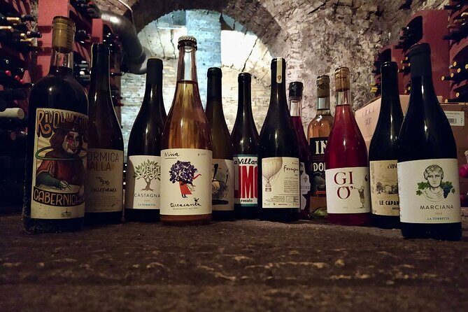 2 Hour Tasting of Overlooked Wines of Rome and Lazio - Who Should Consider This Tour?