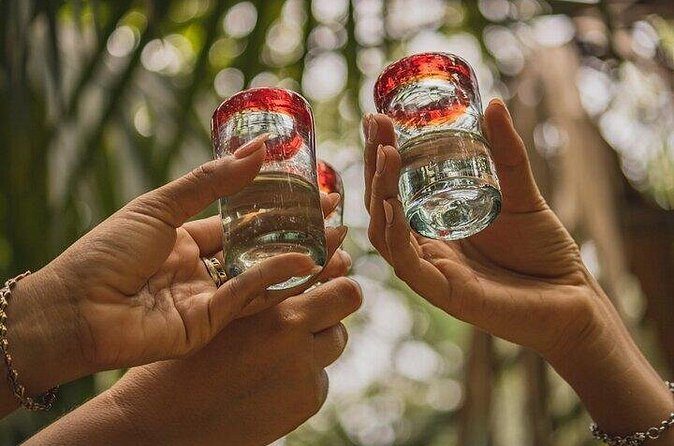 2 Hour Tequila Tasting Diego Riviera - FAQ