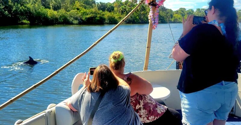 2 Hour Tiki Dolphin Sightseeing Tour in Cocoa Beach - The Experience in a Nutshell