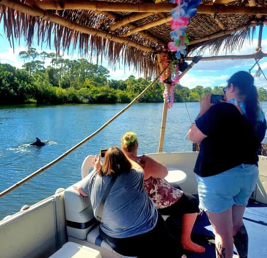 2 Hour Tiki Dolphin Sightseeing Tour in Cocoa Beach - The itinerary: What to expect