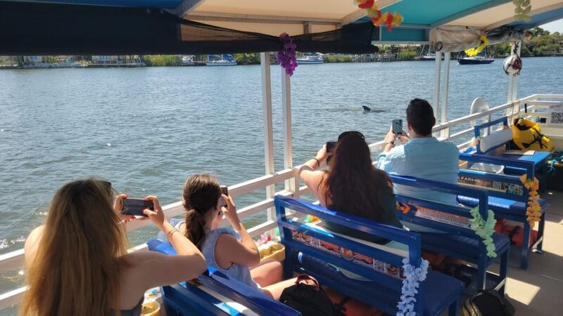 2 Hour Tiki Dolphin Sightseeing Tour in Cocoa Beach - Guides and reviews: Why they matter