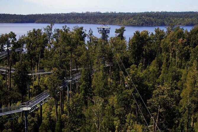 2-Hour Tower Zipline and Walkway Combo Private Guided Activity - A Thorough Look at the Experience