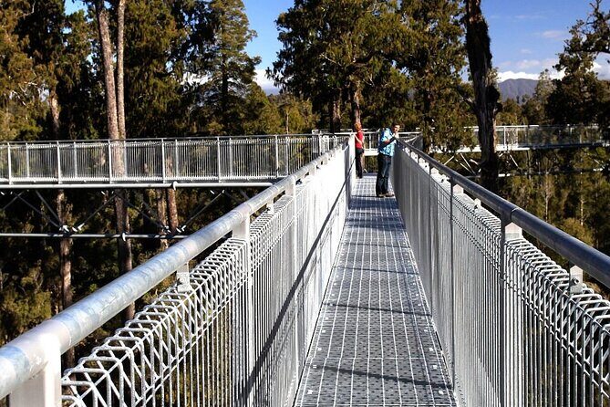 2-Hour Tower Zipline and Walkway Combo Private Guided Activity - Final Thoughts: Is It Worth It?