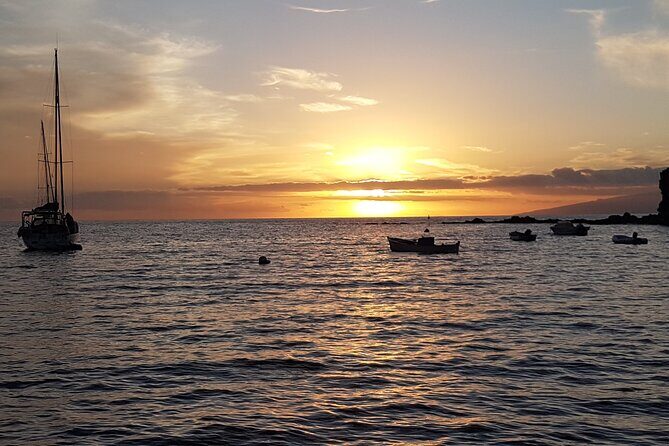 2 hour trip to see whales dolphins puerto colon adeje - What the Reviews Say
