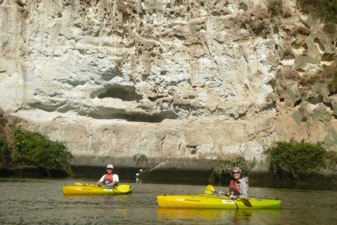 2-Hour Waikato River Guided Kayak Trip from Taupo - Final Thoughts