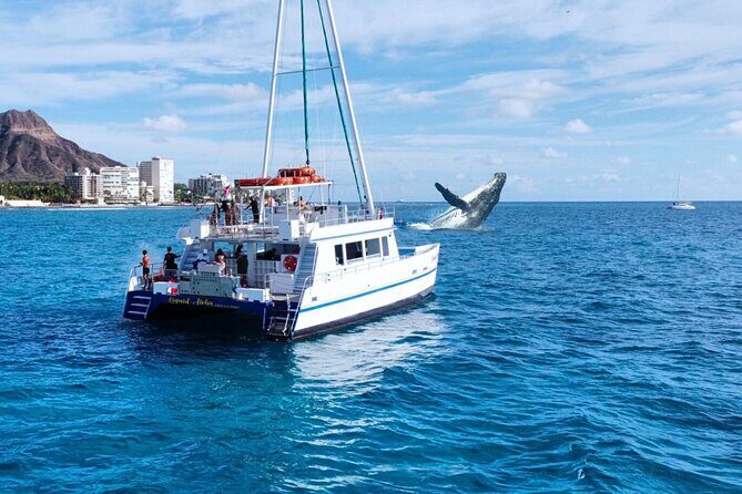 2 Hour Waikiki Whale Watching Cruise from Oahu - Experience the Magic of Hawaii’s Marine Life on a 2-Hour Waikiki Whale Watching Cruise