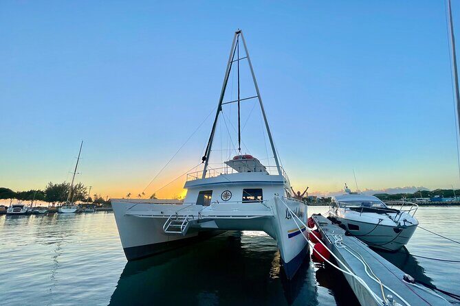 2 Hour Waikiki Whale Watching Cruise from Oahu - A Genuine Look at the Waikiki Whale Watching Cruise