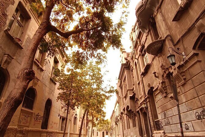 2-Hour Walking Tour of Yungay The Coolest Neighborhood in Chile - Key Points