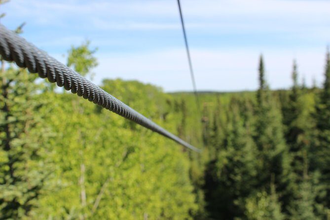 2 Hour Waskesiu Zipline Afternoon Adventure - The 2 Hour Waskesiu Zipline Afternoon Adventure: A Thrilling Forest Flight in Saskatchewan