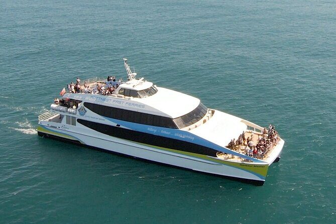2 hour whale watching experience departing Hillarys Boat Harbour - Why You Should Consider This Tour