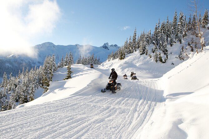 2 Hour Wilderness Adventure Snowmobile Tour in Whistler - Whistler’s 2-Hour Wilderness Snowmobile Adventure: An In-Depth Review