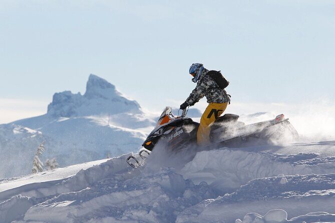 2 Hour Wilderness Adventure Snowmobile Tour in Whistler - How Good Is the Value?