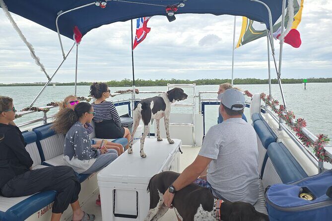 2 Hour Wildlife Adventure - Key Points