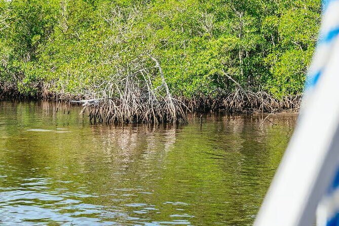 2 Hour Wildlife Adventure - An In-Depth Look at the 2 Hour Wildlife Adventure