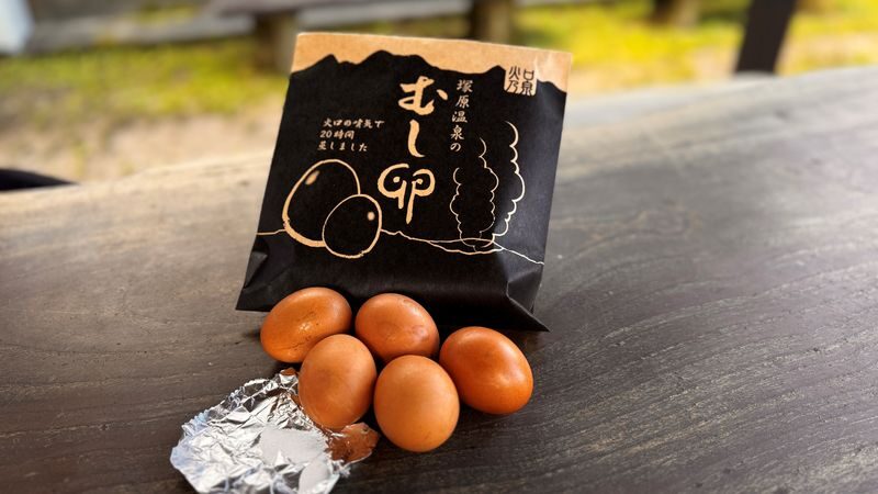 2-Hour Yufuin Tour - Practical details to settle before departure