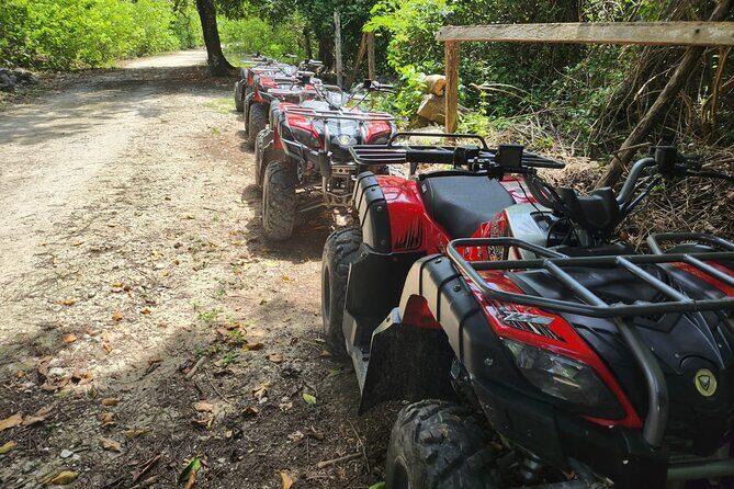2 Hours ATV Jungle, Caverns and Mayan Ruins Tour - A Deep Dive into the Cozumel ATV Jungle, Caverns, and Ruins Tour