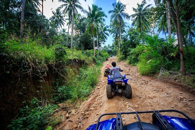 2 Hours ATV Quad Bike Popular Tour From Koh Samui - Price and Value