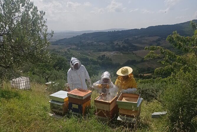 2 hours Beekeeping and Honey Tasting Activities in Assisi - An In-Depth Look at the Beekeeping and Honey Tasting Tour in Assisi