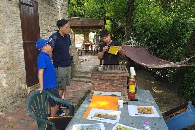 2 hours Beekeeping and Honey Tasting Activities in Assisi - The Sum Up