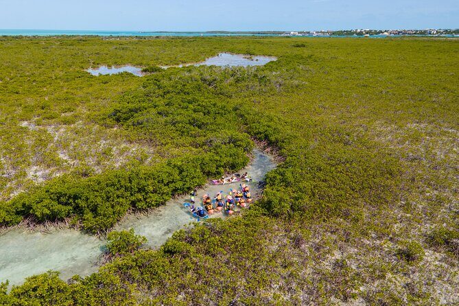 2 Hours Clear Kayaking Activity on Mangrove Cay - Key Points