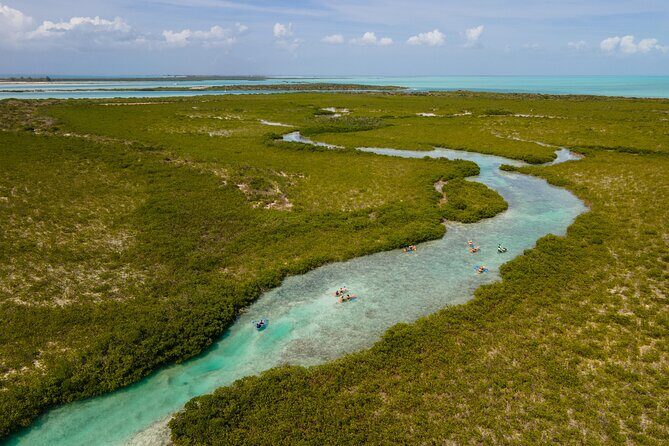 2 Hours Clear Kayaking Activity on Mangrove Cay - Exploring Turks and Caicos’ Mangrove Cay by Kayak