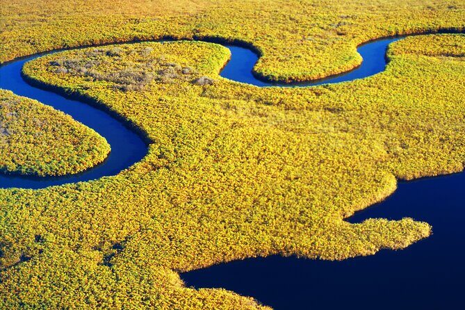 2 Hours Dolphin Eco Tour - A Deep Dive into the Savannah Dolphin Eco Tour