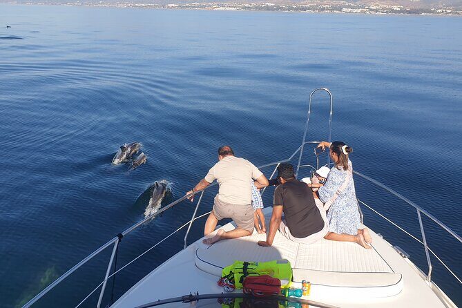 2 Hours Dolphin Watching in Marbella - The Authenticity of the Experience