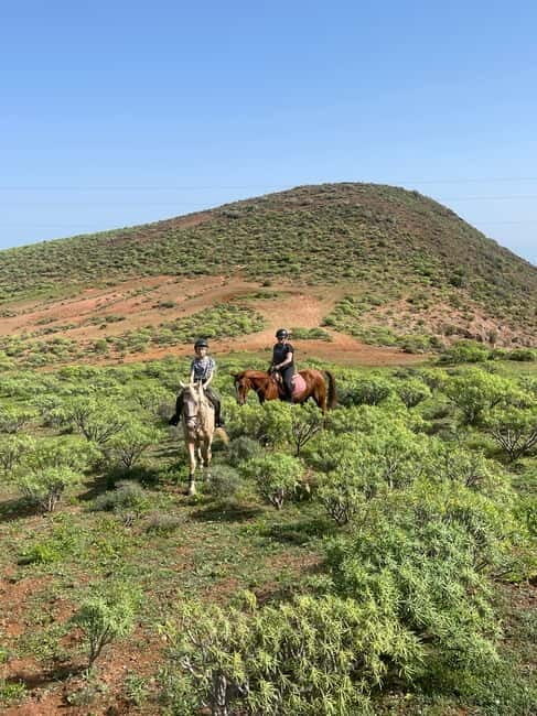 2 hours Green Mountains Horse Riding Tour - An In-Depth Look at the Green Mountains Horse Riding Experience