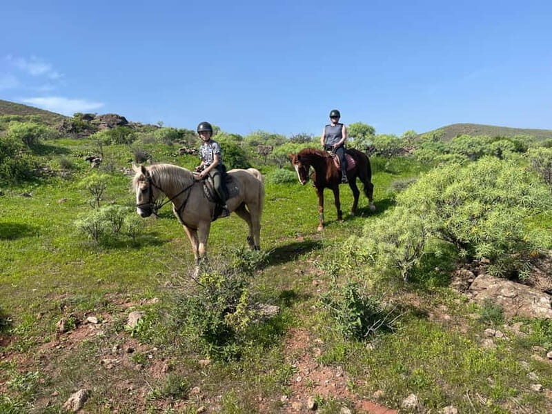 2 hours Green Mountains Horse Riding Tour - Practical Details and Value