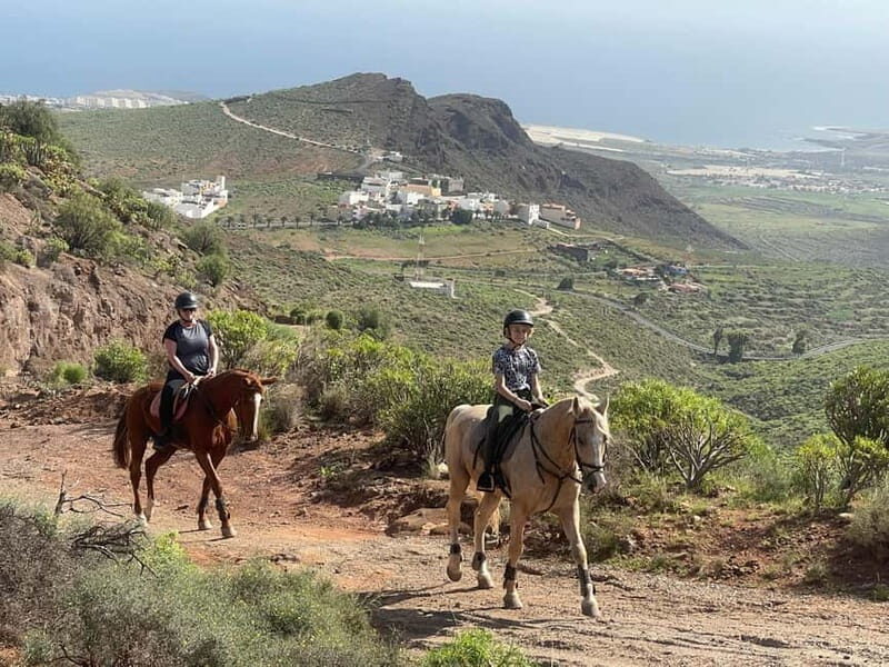 2 hours Green Mountains Horse Riding Tour - Authentic Experiences and Honest Feedback