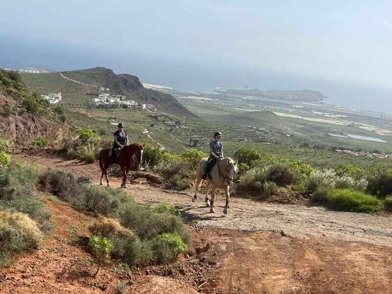 2 hours Green Mountains Horse Riding Tour - The Sum Up