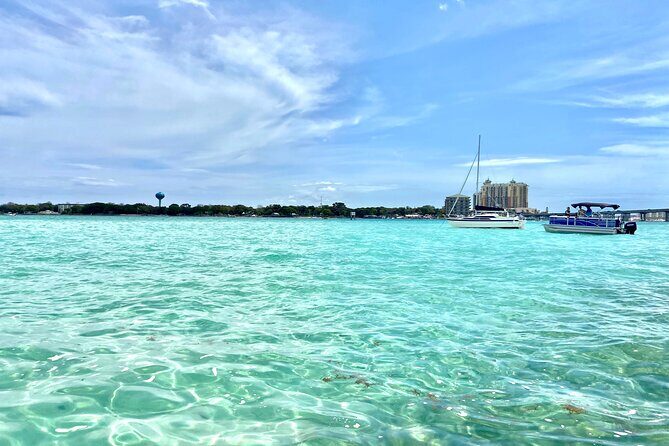 2 Hours Guided Dolphin Tour in Florida - Discover the 2-Hour Guided Dolphin Tour in Florida: An Authentic Gulf Coast Experience