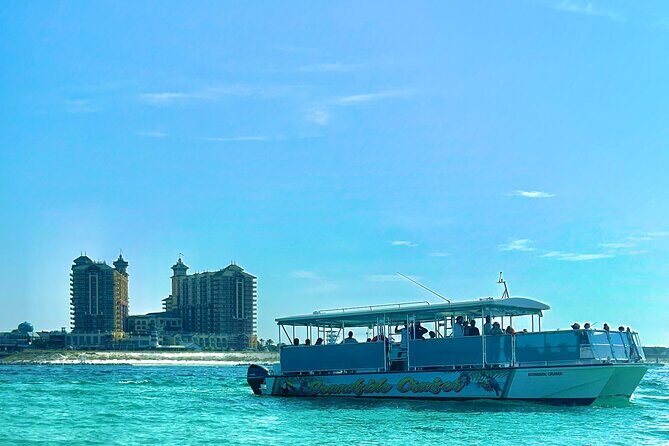 2 Hours Guided Dolphin Tour in Florida - Key Points