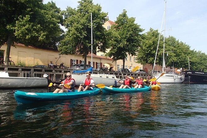 2 Hours Guided Kayak Tour in Copenhagen Harbor - Who Would Love This Tour?