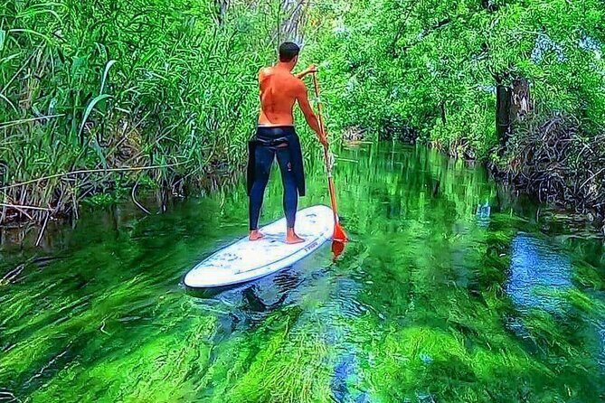 2 Hours guided tour in Sup in the Syracuse coast - In-Depth Review of the SUP Tour in Syracuses Coast