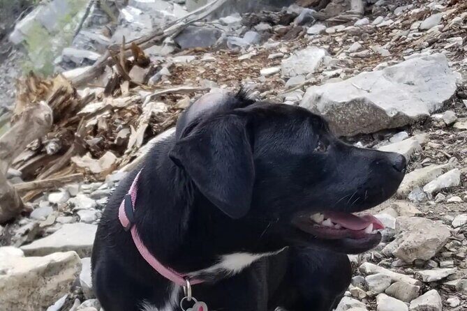 2-Hours Hiking Night Tour to Strip Views in Las Vegas - An In-Depth Look at the Las Vegas Night Hike