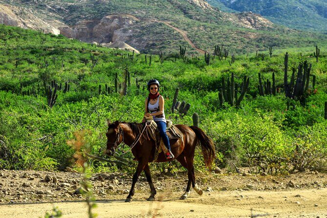 2 Hours Horseback Riding Adventure in Cabo - An In-Depth Look at the 2-Hour Horseback Riding Adventure in Cabo