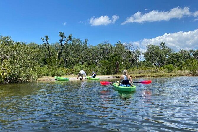 2 Hours Kayak Eco Tour in Tarpon Springs - An Authentic Eco Adventure in Tarpon Springs