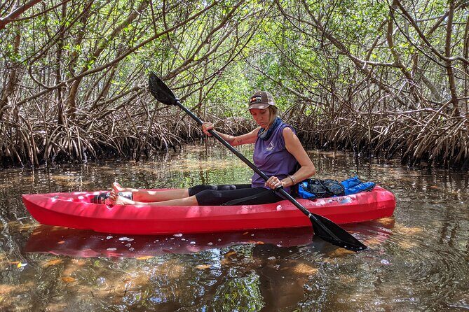 2 Hours Kayak Eco Tour in Tarpon Springs - Practical Details and Tips