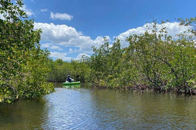 2 Hours Kayak Eco Tour in Tarpon Springs - The Sum Up: A Genuine Connection with Nature