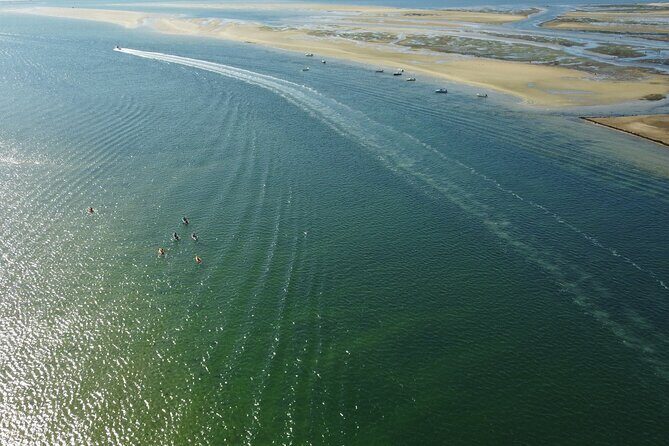 2 Hours Kayak Island Tour in the Natural Park of Ria Formosa - Key Points