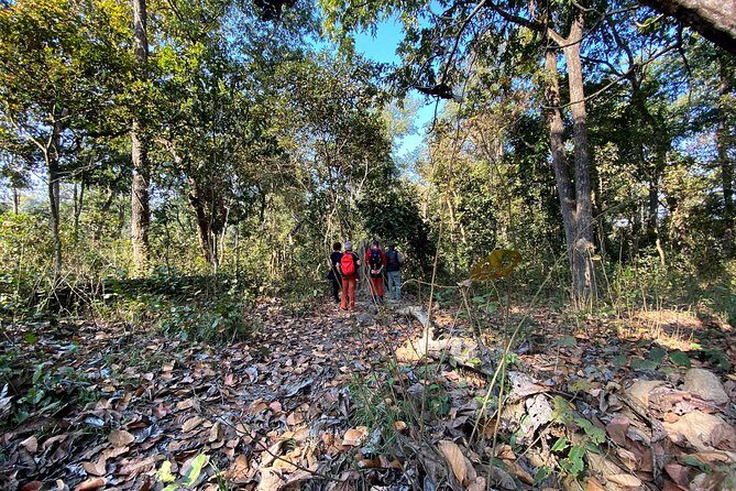 2 Hours Nature Walk in Chitwan National Park - A Detailed Look at the 2-Hour Nature Walk