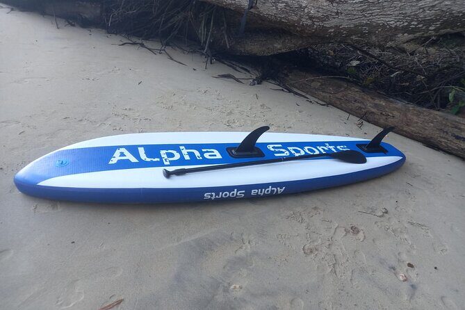 2 Hours Paddle Board Experience in Chaguaramas. Snorkeling also. - A Closer Look at the 2-Hour Paddle Board Experience in Chaguaramas