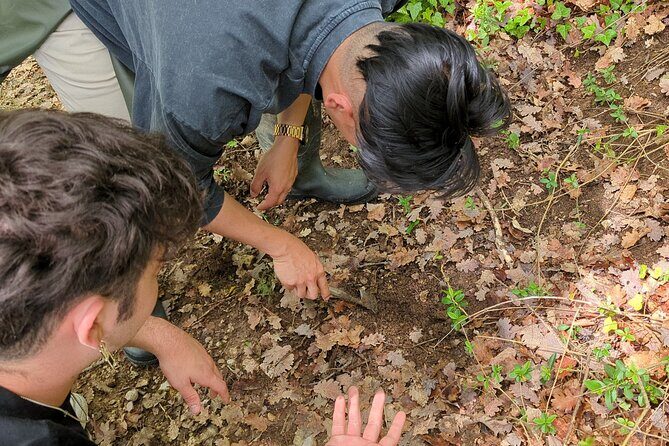2 hours Private Activity - Truffle hunting in Assisi - FAQs