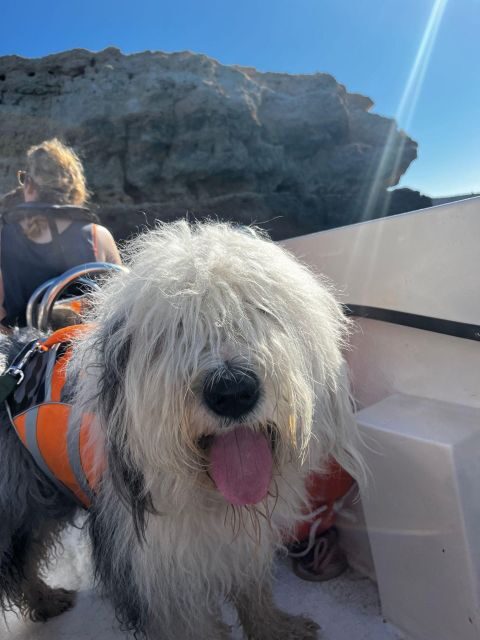 2 Hours Private Benagil Caves and Beaches Boat Tour - FAQ