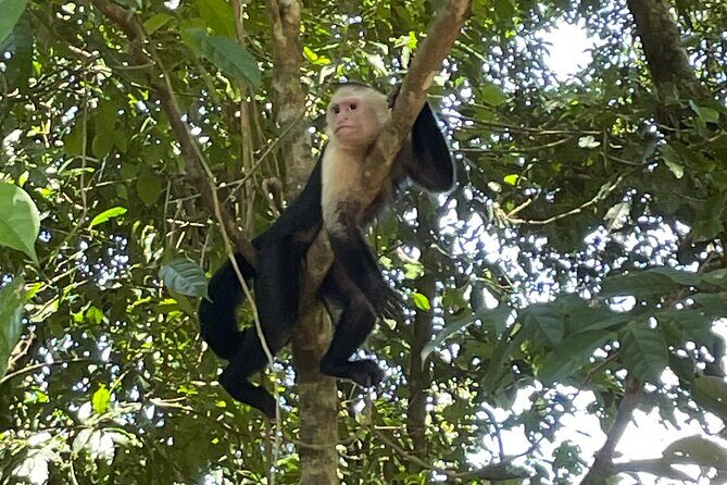 2 Hours Private Guided Hiking Experience to El Miro in Jaco - Key Points