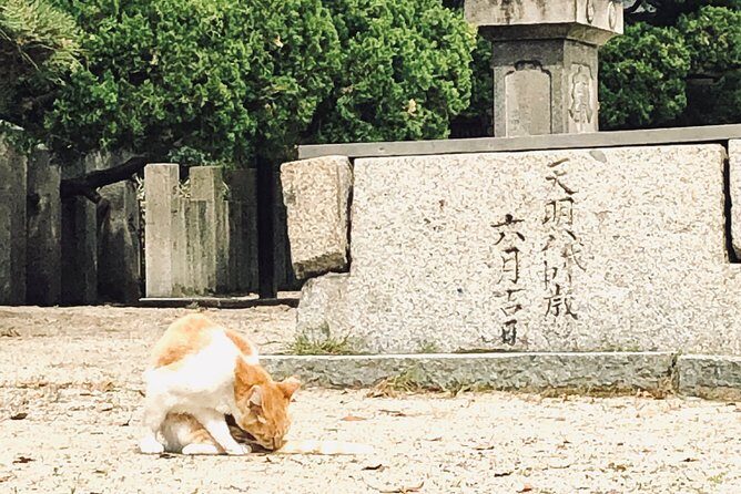 2 Hours Private Guided Walking Tour in Osaka - Why This Tour Offers Real Value